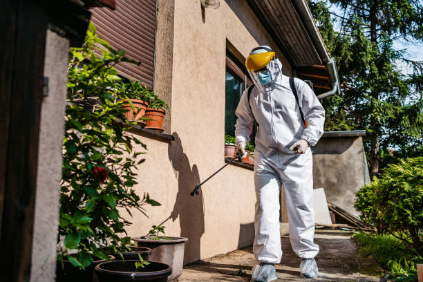 Reliable Florida, NY Pest Control Solutions
