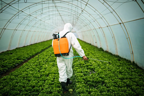 Best Pest Control Near Me  in Florida, NY