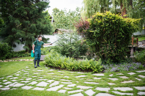 Best Affordable Pest Control Services  in Florida, NY