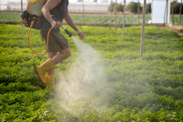 Best Best Pest Control Companies  in Florida, NY