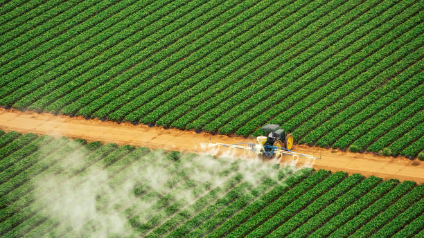 Best Pest Removal Services  in Florida, NY