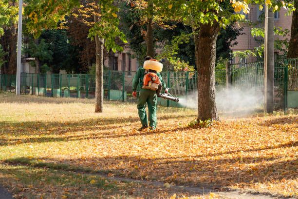 Trusted Florida, NY Pest Control Experts